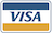 visa payment